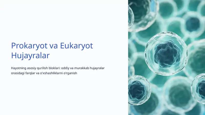 Prokaryot va Eukaryot Hujayralar 1