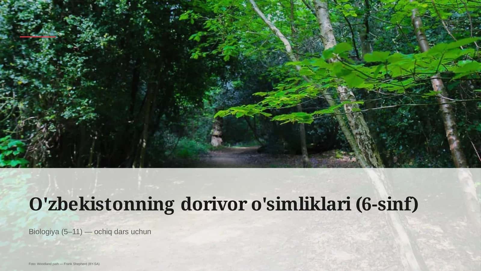 O'zbekistonning dorivor o'simliklari (6-sinf) 1