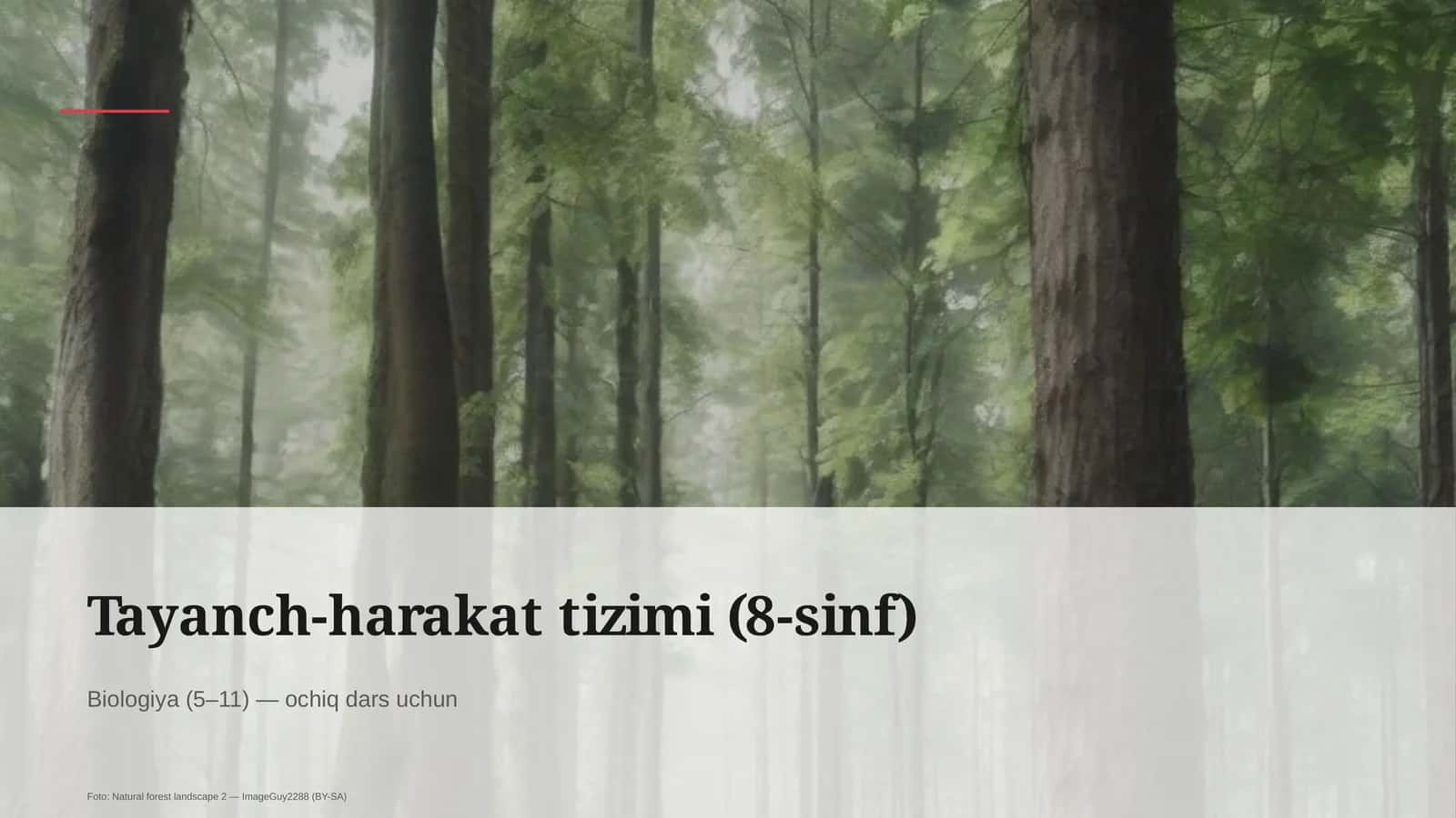 Tayanch-harakat tizimi (8-sinf) 1