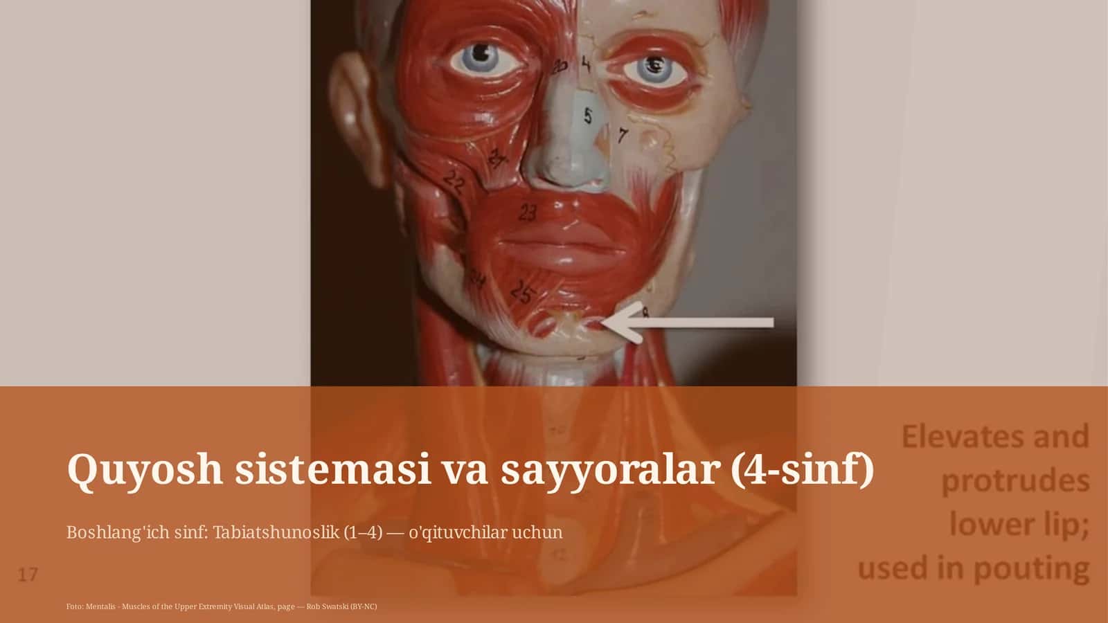 Quyosh sistemasi va sayyoralar (4-sinf) 1