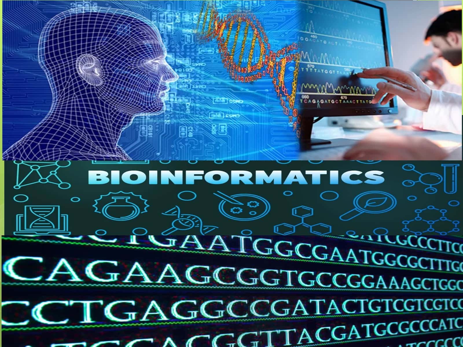Bioinformatika faniga kirish 1