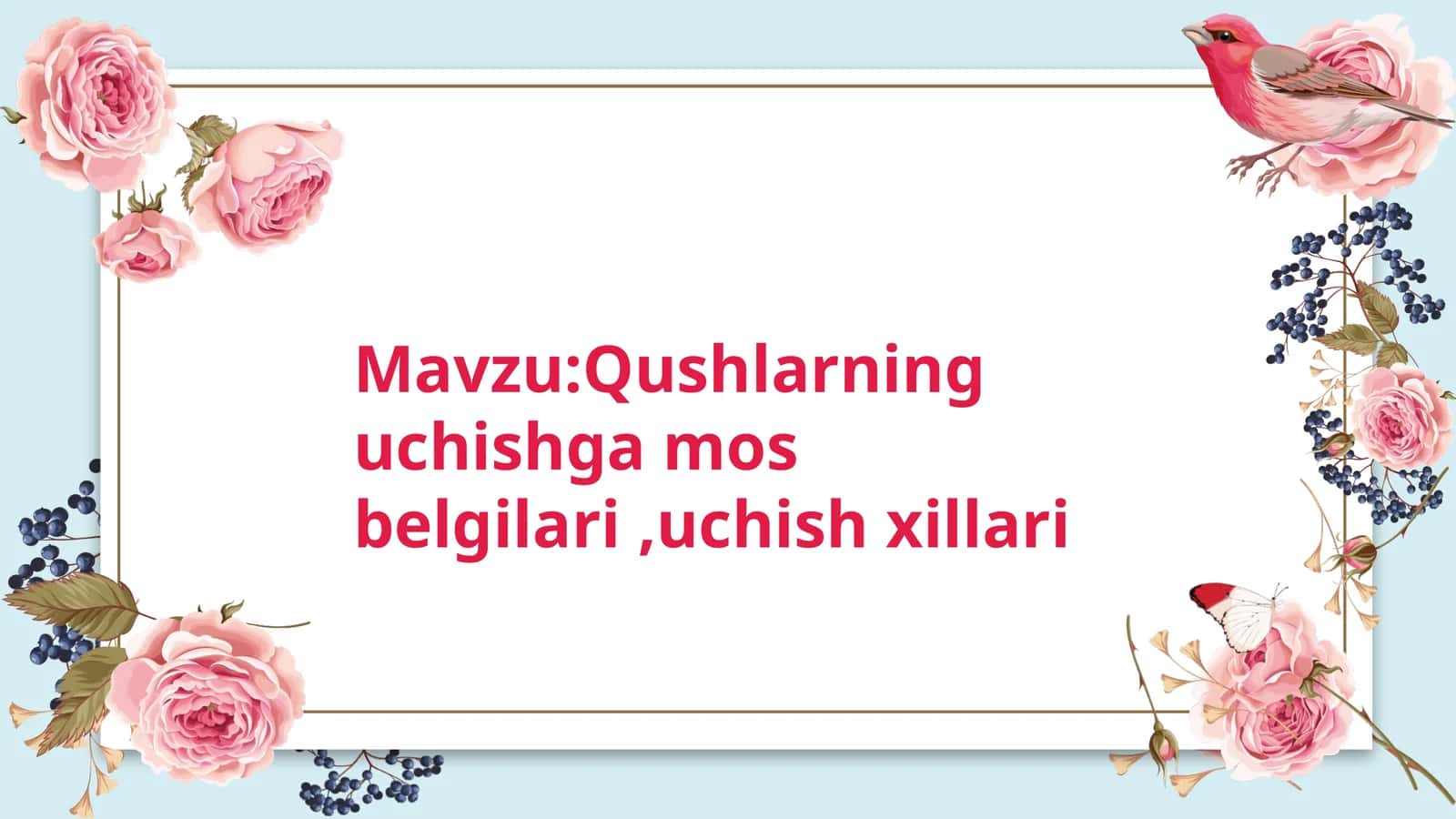 Qushlarninguchishgamosbelgilari,uchishxillari 1