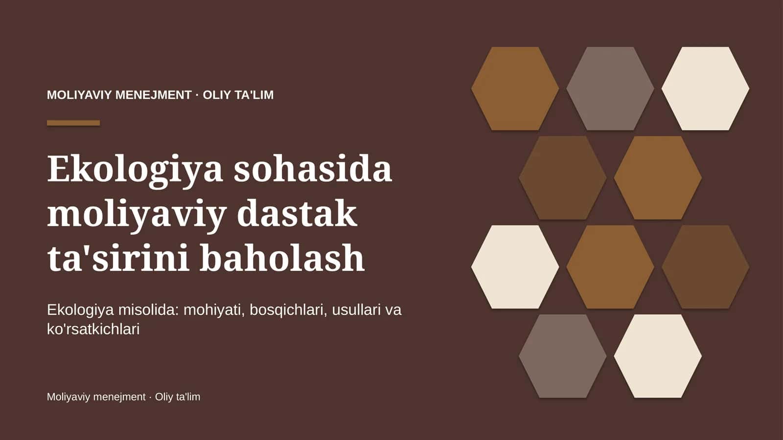 ekologiya sohasida moliyaviy dastak ta'sirini baholash 3219 1