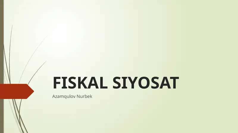 FISKAL SIYOSAT 1