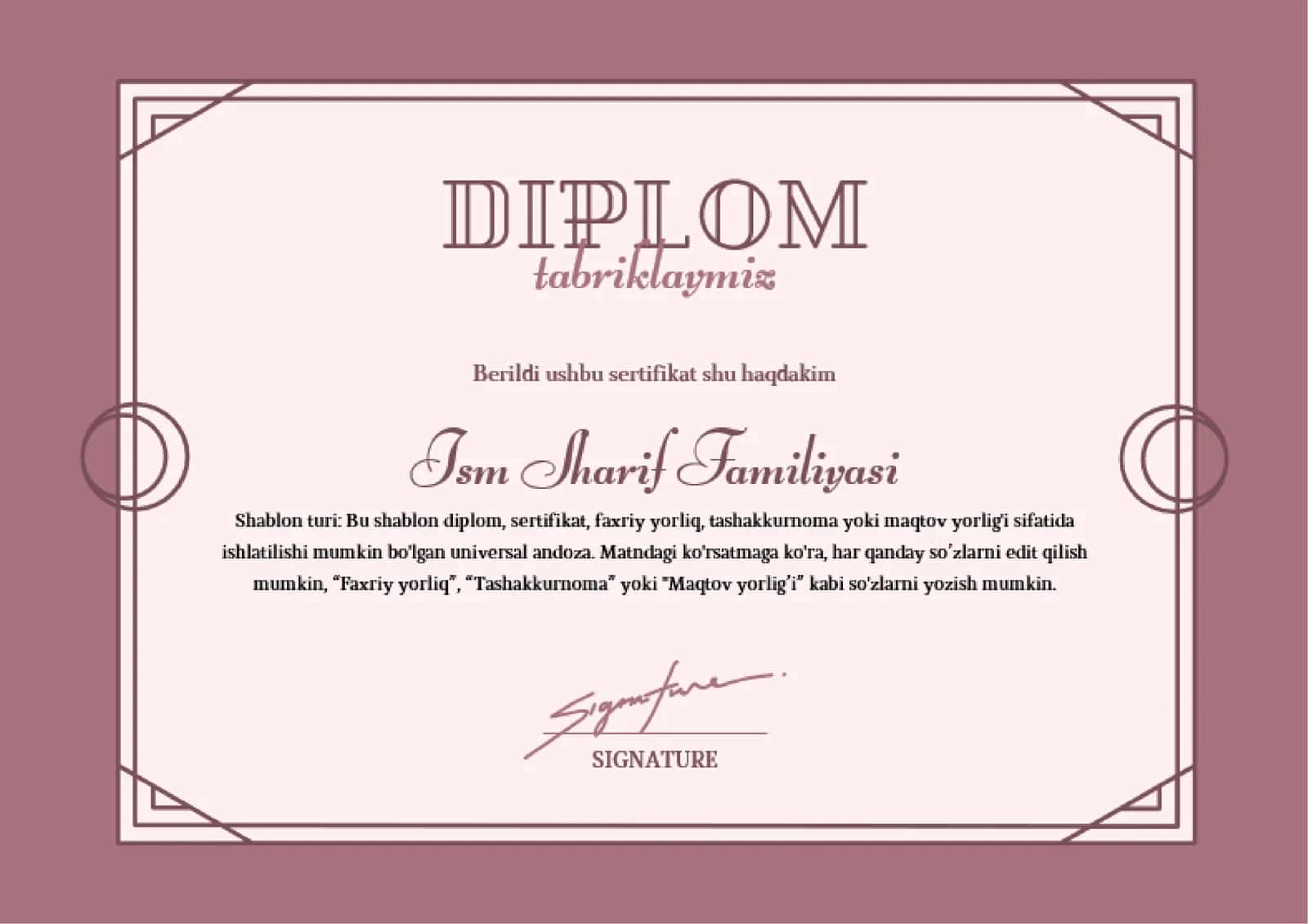 DIPLOM 1