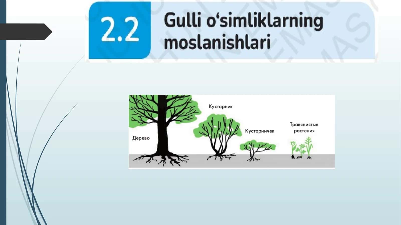 Topshiriqlar 1