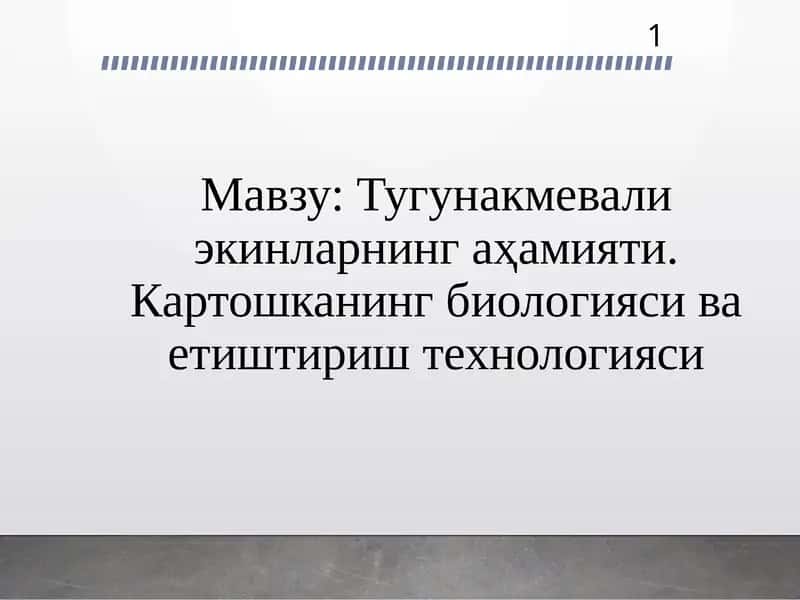 Тугунакмева ва картошка 1