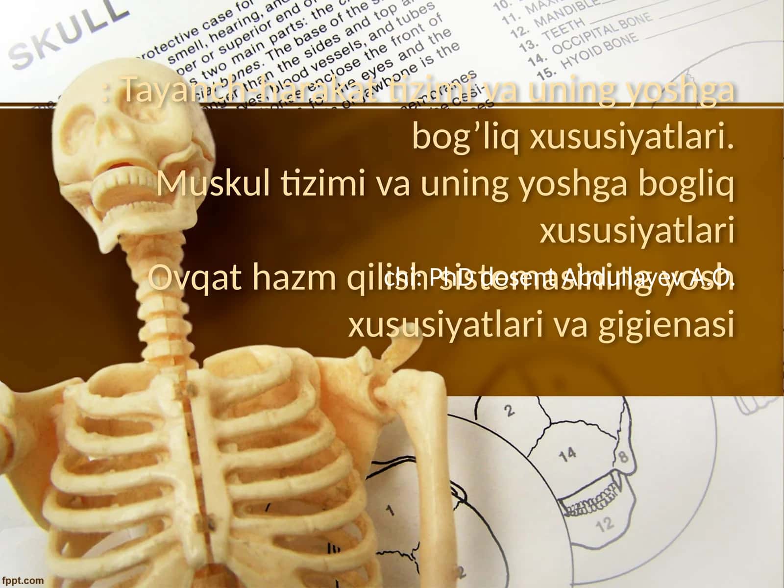 Tayanch-harakat tizimi va uning yoshga bog’liq xususiyatlari.Muskul tizimi va uning yoshga bogliq xususiyatlariOvqat hazm qilish sistemasining yosh xususiyatlari va gigienasi 1