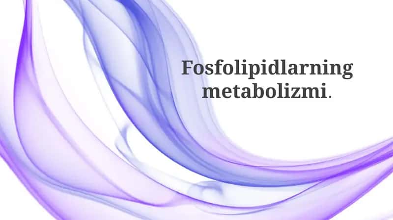 Fosfolipidlar: Tuzilishi va Asosiy Sinfllari 1