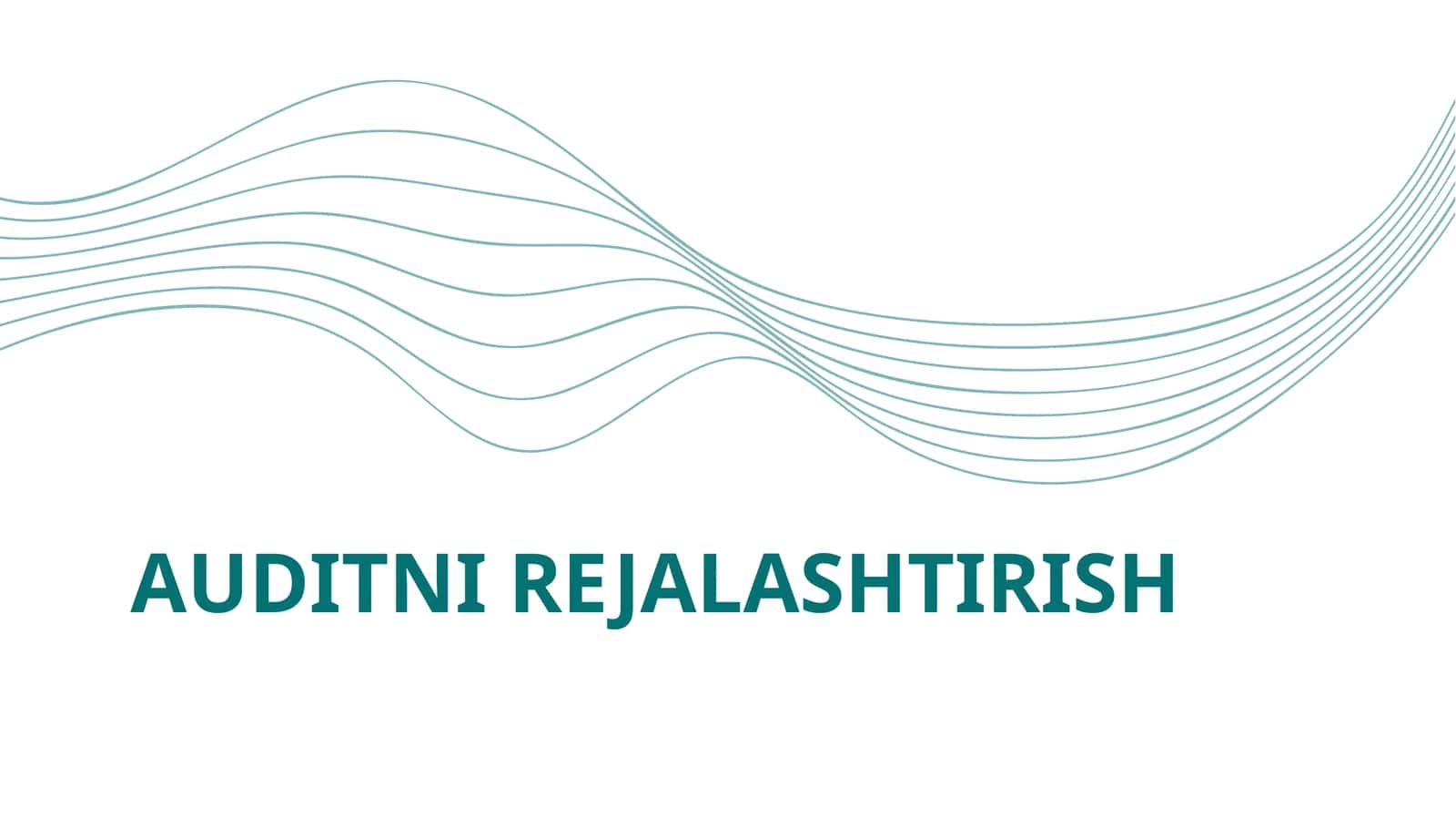 Auditni Rejalashtirish 1