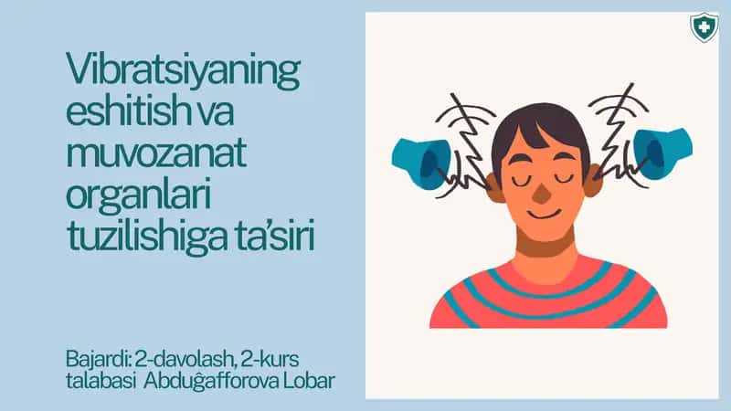 Vibratsiyaning eshitish va muvozanat organlari tuzilishiga ta’siri 1
