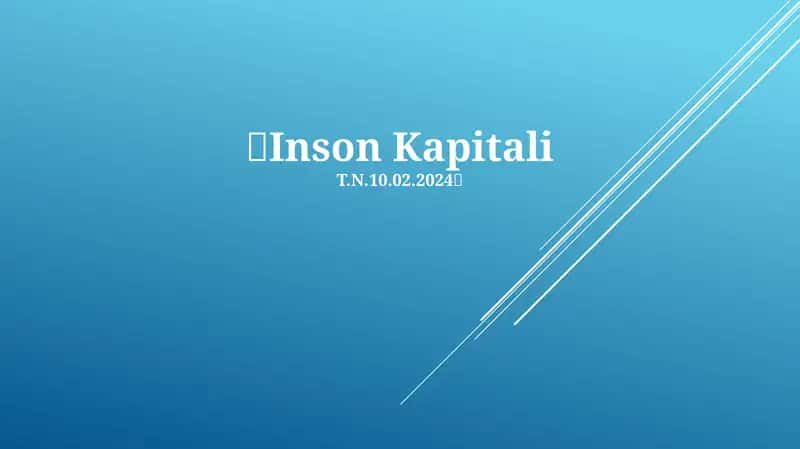 Inson Kapitali 1