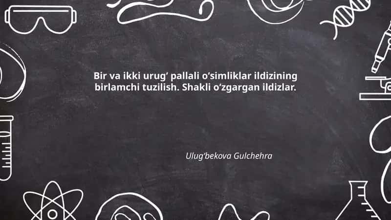 Bir va ikki urugʻ pallali oʻsimliklar ildizining birlamchi tuzilish 1