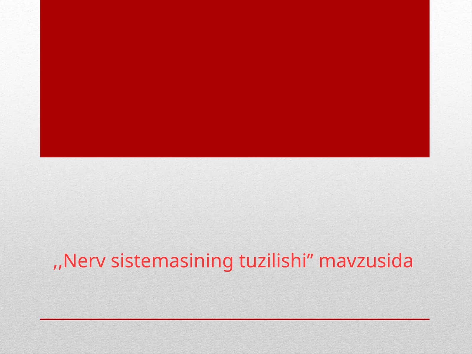 Nerv sistemasining tuzilishi 1