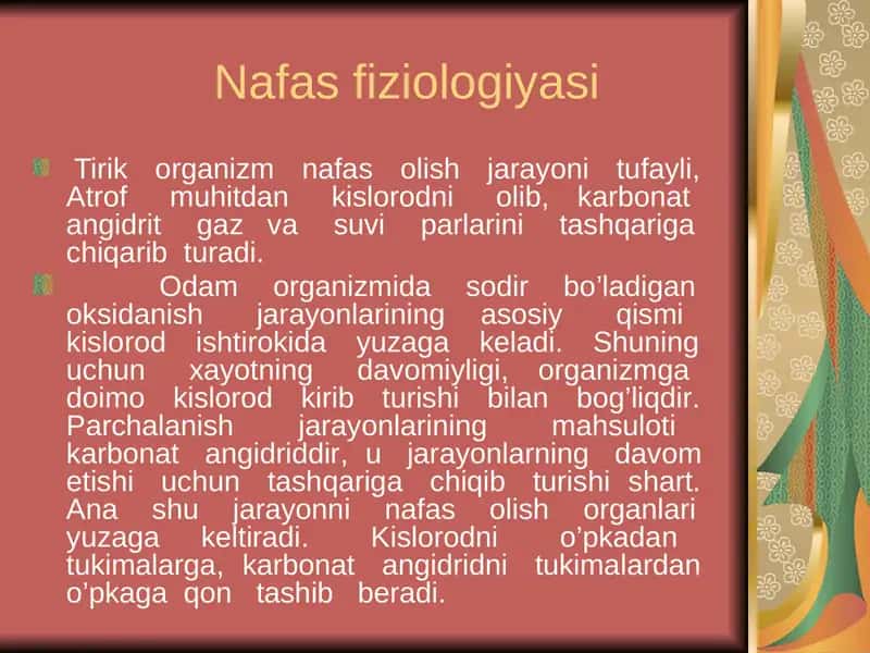 Nafas fiziologiyasi 1