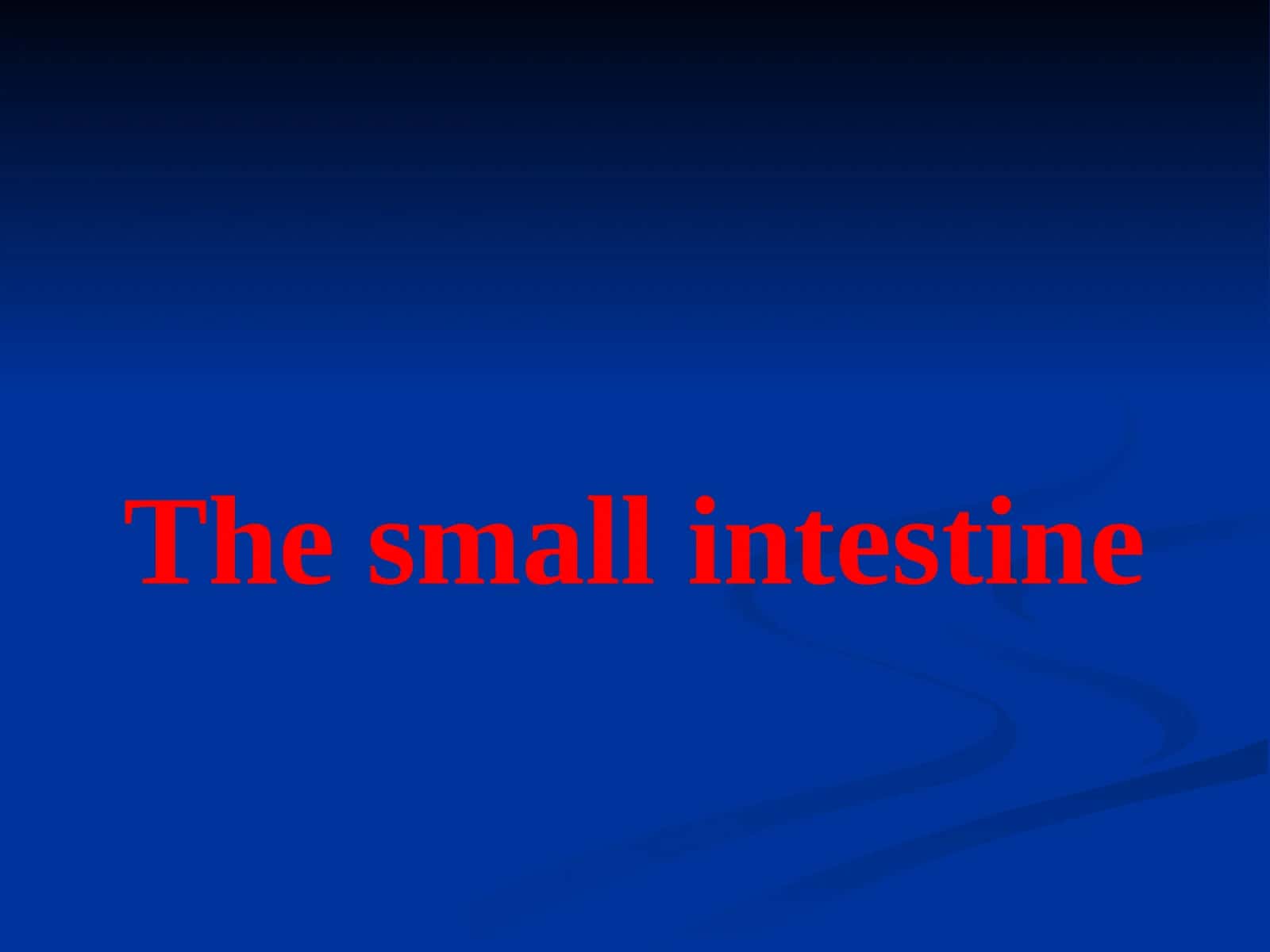 The small intestine 1