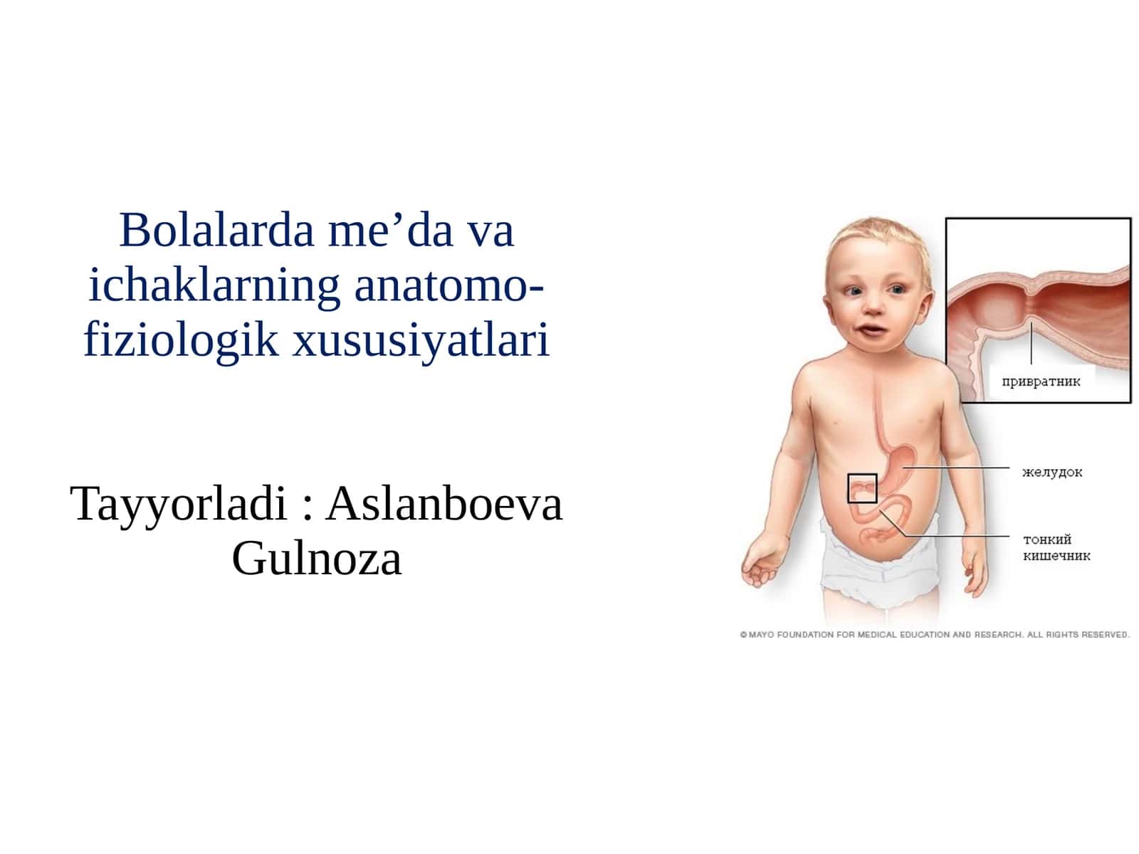 Bolalarda me’da va ichaklarning anatomo-fiziologik xususiyatlari 1