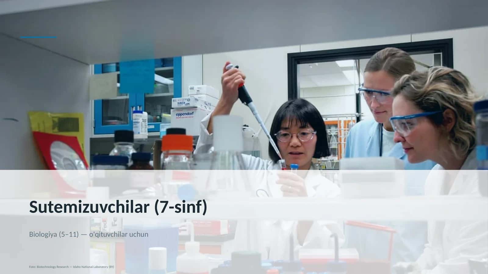 Sutemizuvchilar (7-sinf) 1
