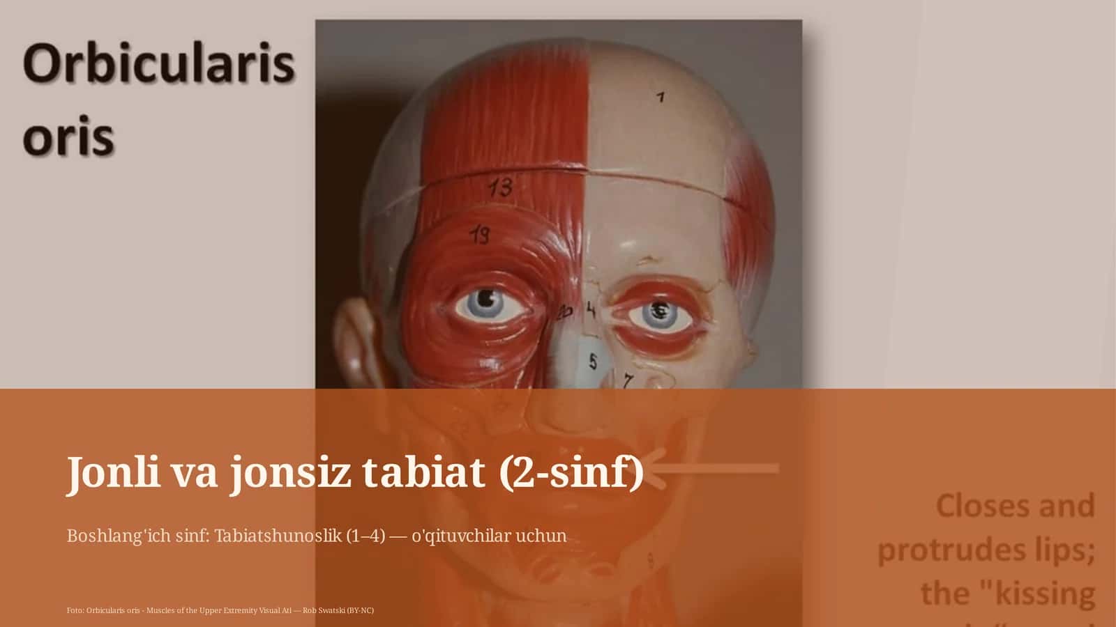 Jonli va jonsiz tabiat (2-sinf) 1