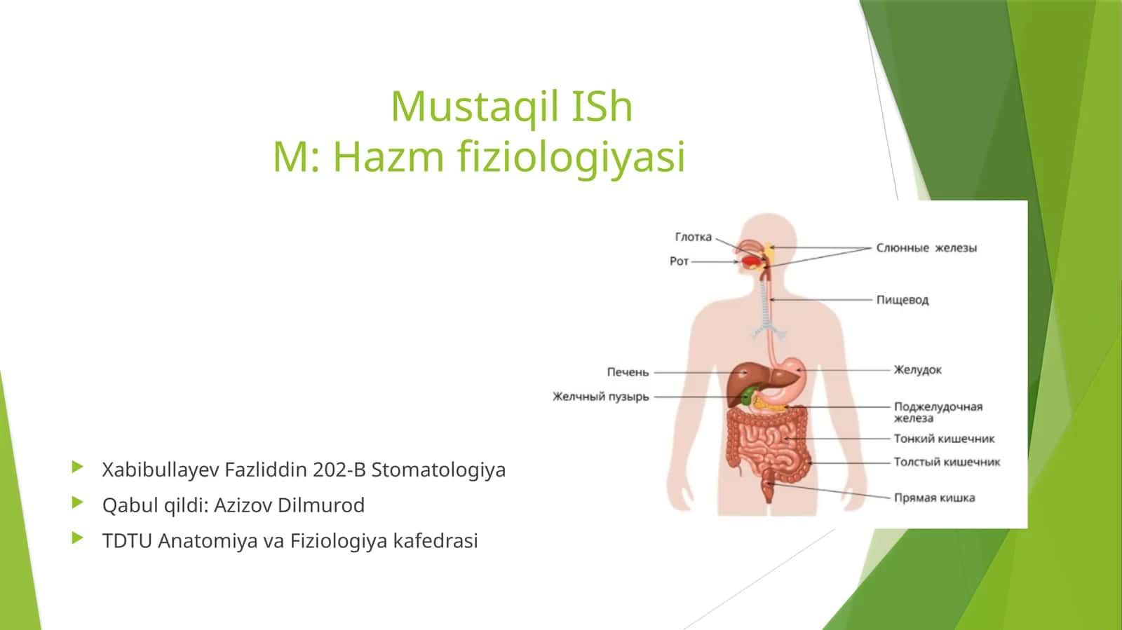 Mustaqil IShM: Hazm fiziologiyasi 1