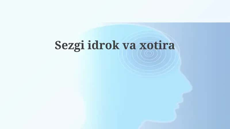 Sezgiidrokvaxotira 1