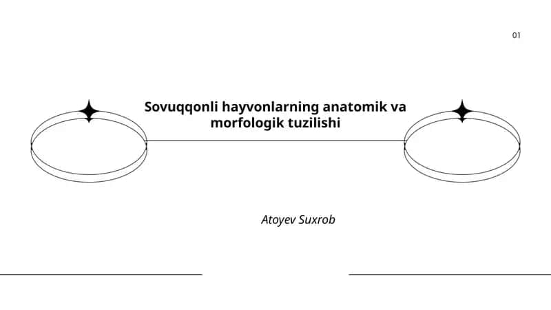 Sovuqqonli hayvonlarning anatomik va morfologik tuzilishi 1
