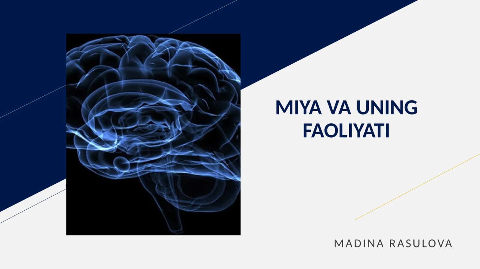 MIYA VA UNING FAOLIYATI 1