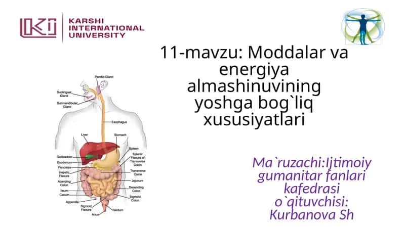 11-mavzu: Moddalar va energiya almashinuvining yoshga bog`liq xususiyatlari 1