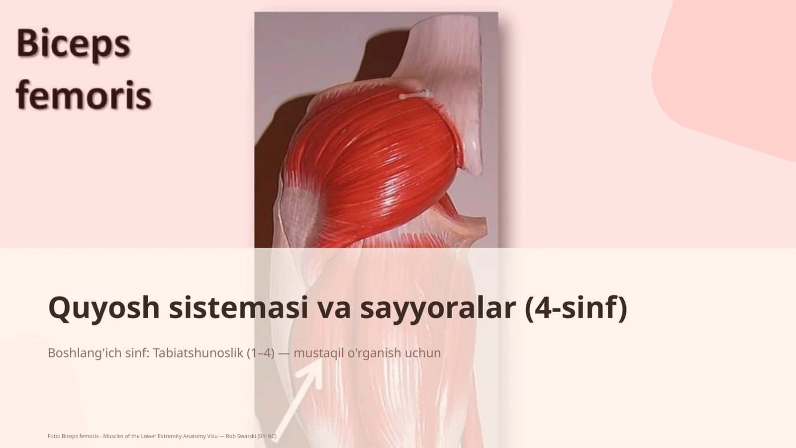Quyosh sistemasi va sayyoralar (4-sinf) 1