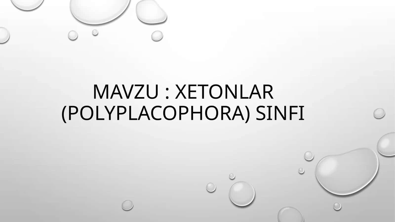 xetonlar (POLYPLACOPHORA) SINFI 1