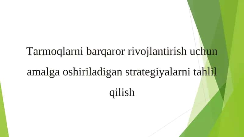 Tarmoqlarni barqaror rivojlantirish uchun amalga oshiriladigan strategiyalarni tahlil qilish 1