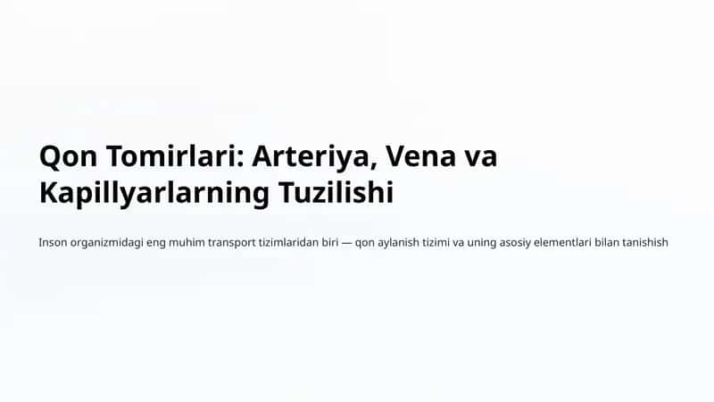 Qon Tomirlari: Arteriya, Vena va Kapillyarlarning Tuzilishi 1
