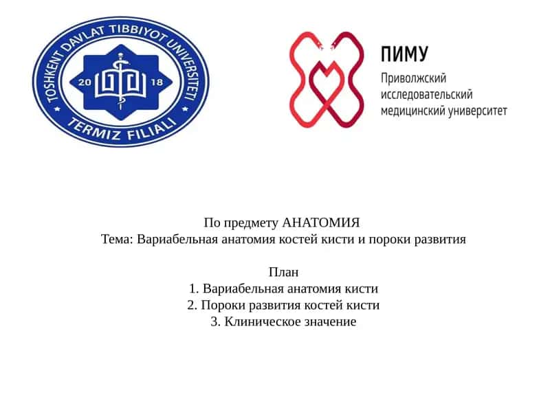 Вариабельная анатомия костей кисти и пороки развития 1
