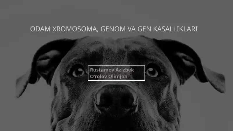 Odam xromosoma, genom va gen kasalliklari 1
