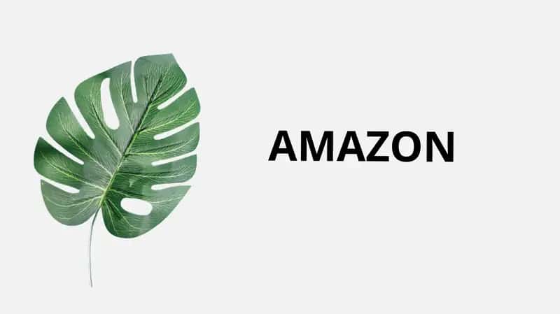 Amazon 1