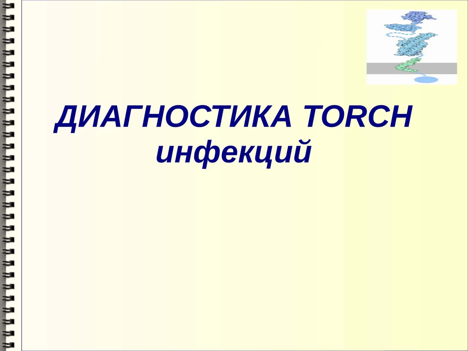 TORCH-инфекции 1