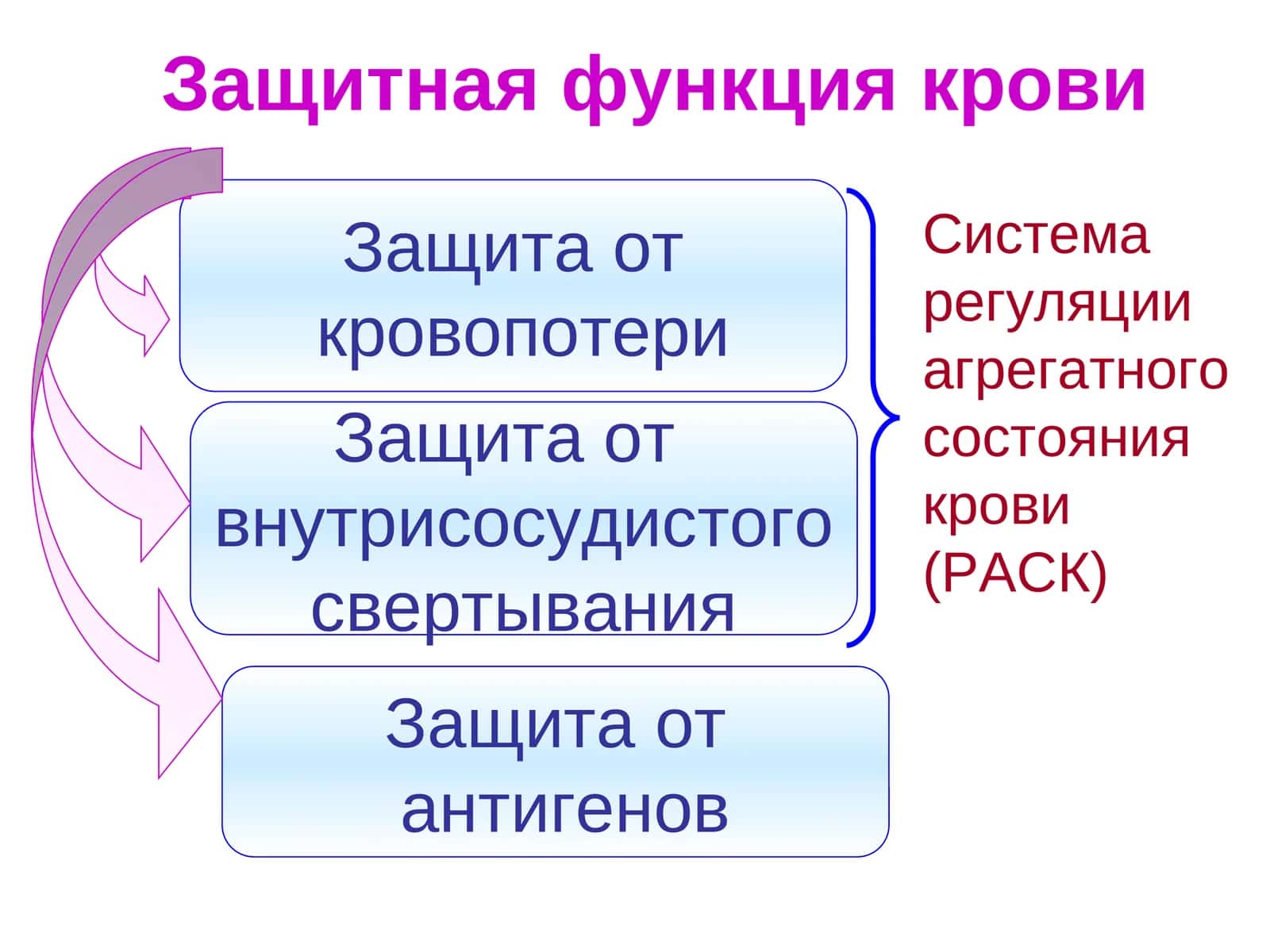 Система РАСК (Регуляция агрегатного состояния крови) 1