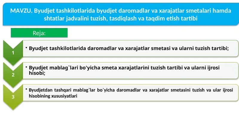 Byudjet tashkilotlari daromadlar va xarajatlar smetasi 1