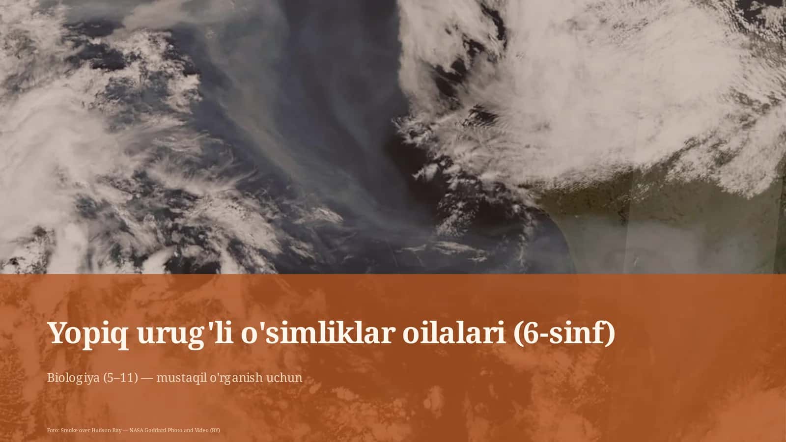 Yopiq urug'li o'simliklar oilalari (6-sinf) 1