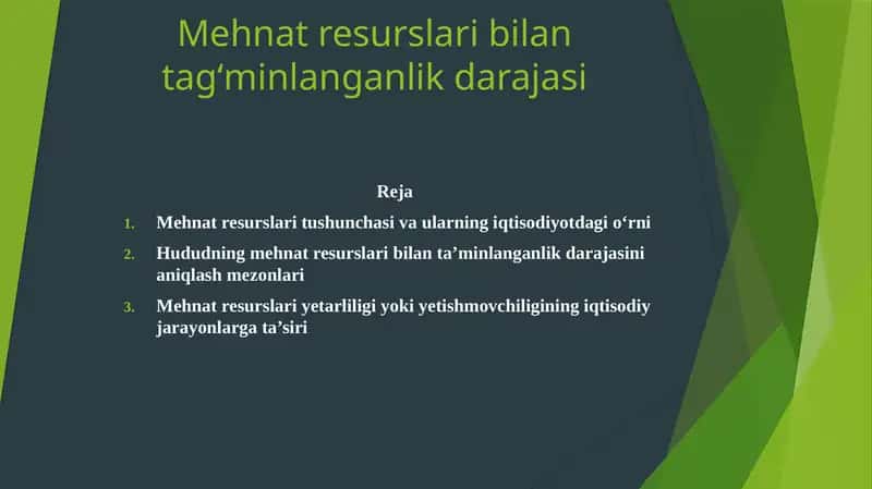 Mehnat resurslari 1