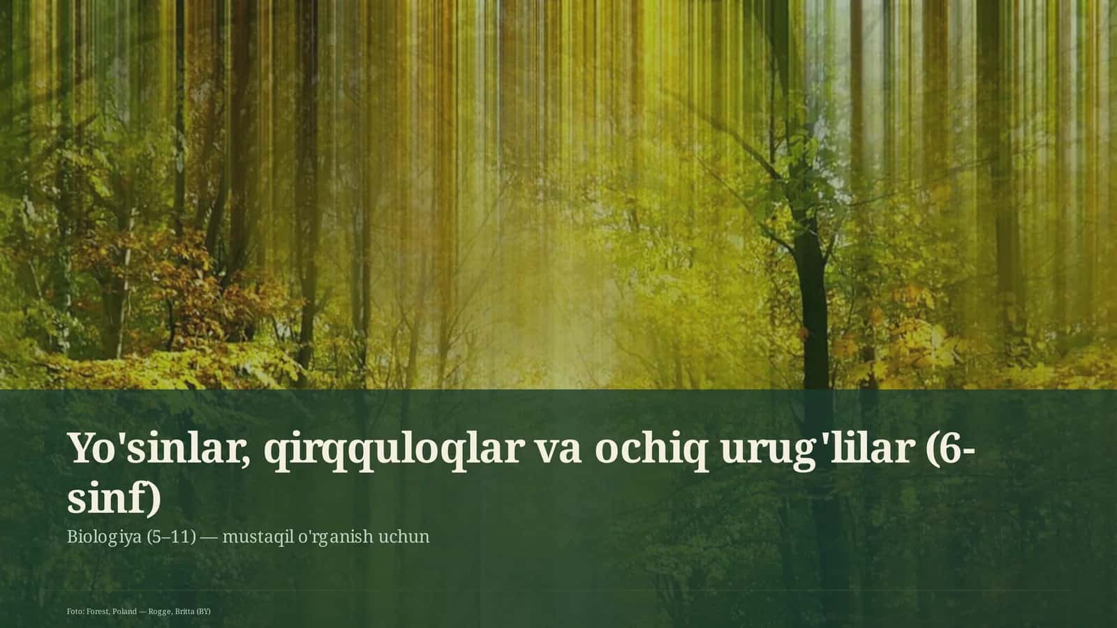 Yo'sinlar, qirqquloqlar va ochiq urug'lilar (6-sinf) 1
