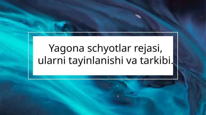 Yagona schyotlar rejasi 1