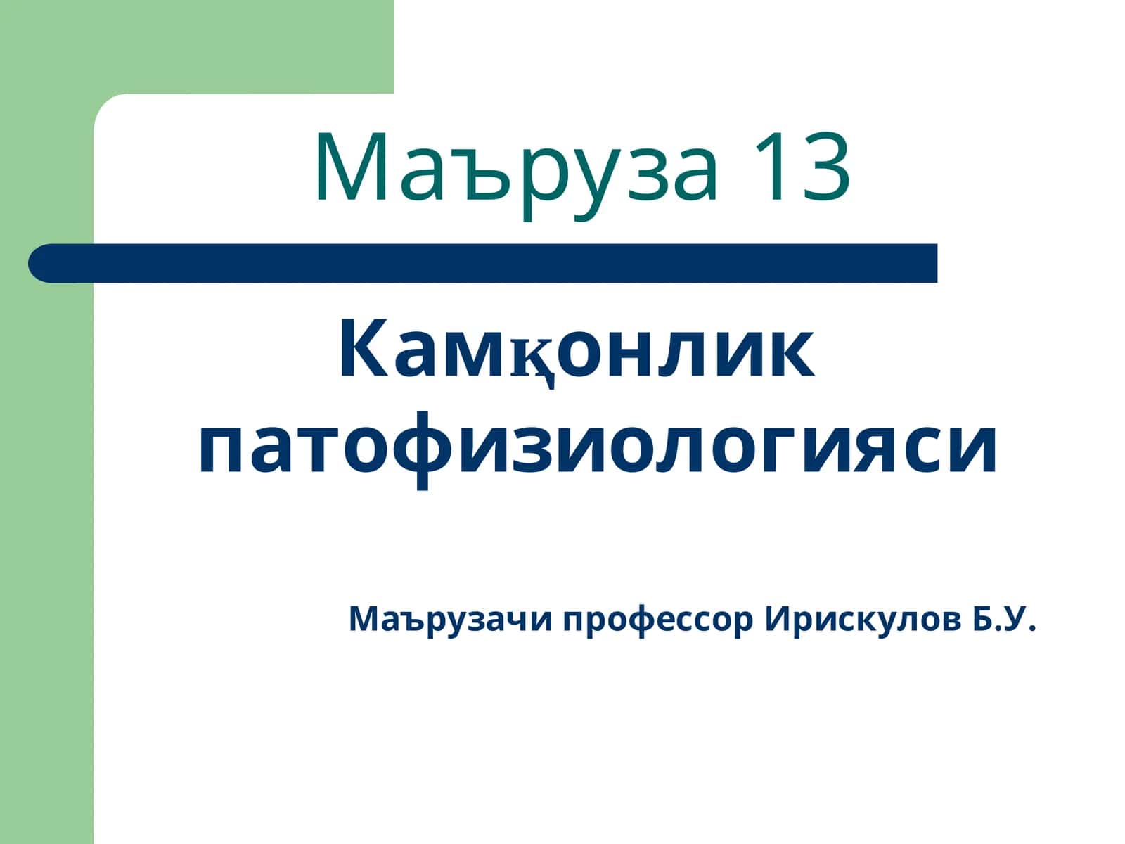 Маъруза 13 1