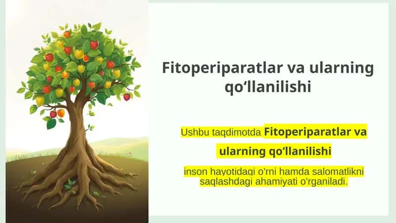 Fitoperiparatlar va ularning qo‘llanilishi 1