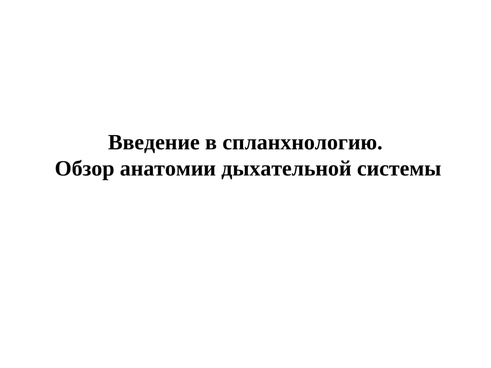 Обзор анатомии дыхательной системы 1