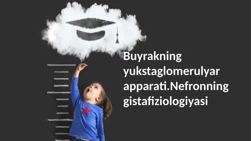 Yuxtaglomerulyar Apparat 1