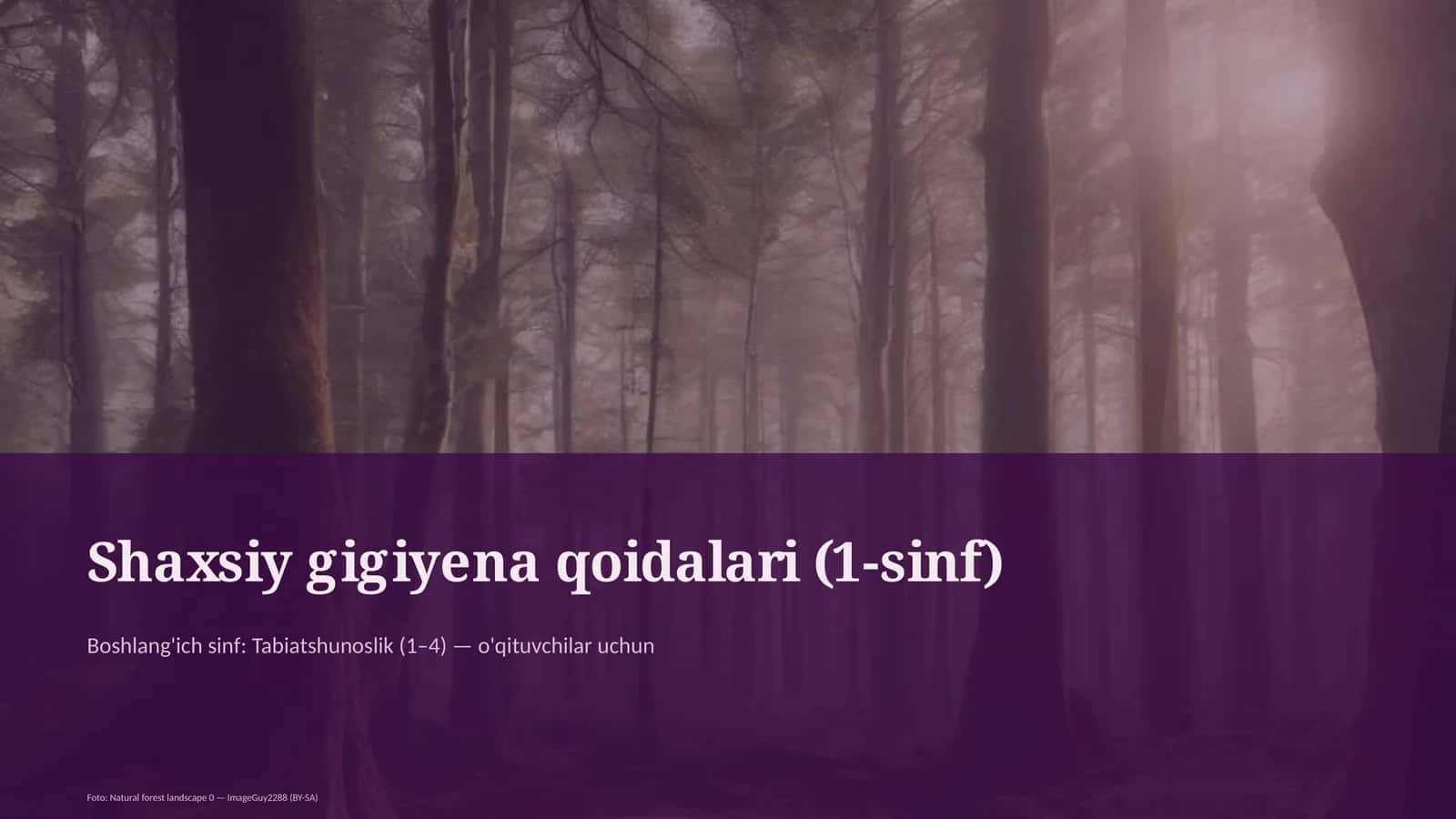 Shaxsiy gigiyena qoidalari (1-sinf) 1