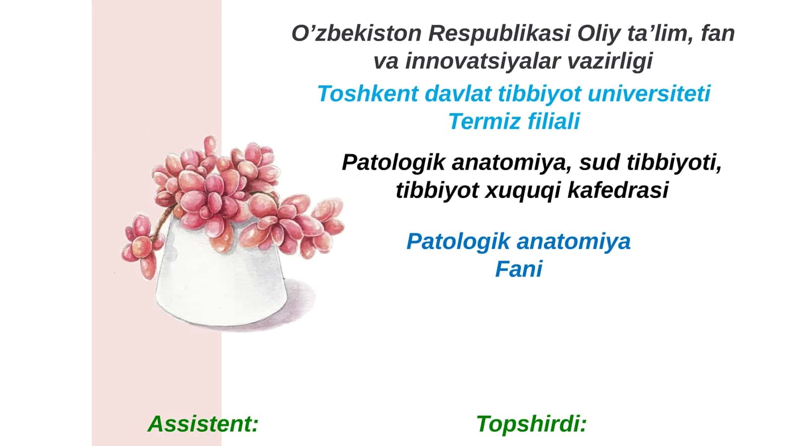 Orbita funksional anatomiyasi. Oʼsmalari. Kon'yuktiva, sklera va shox pardasi anatomiyasi va kasalliklari 1