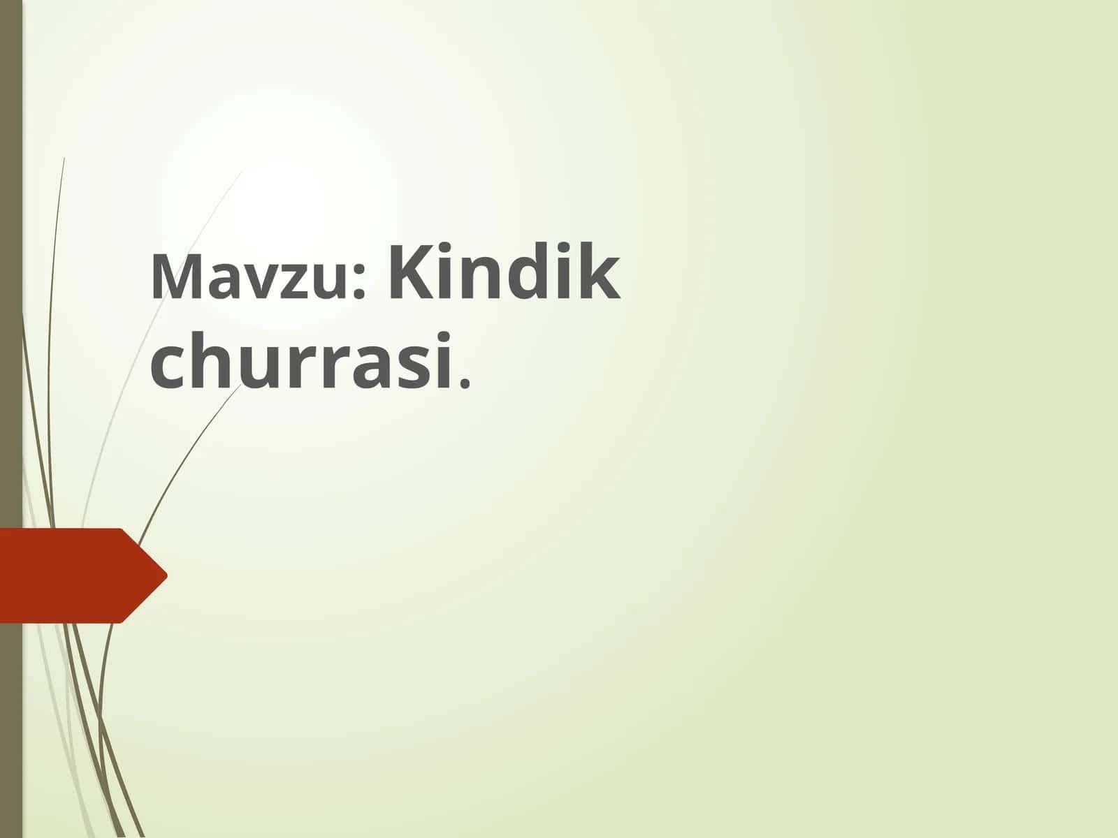 Kindik churrasi 1