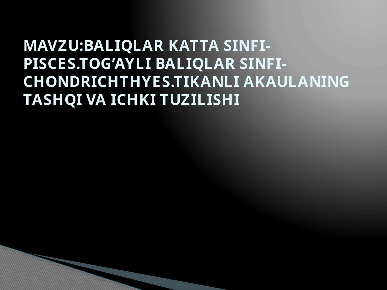 Tikanli Akaulaning Tashqi va Ichki Tuzilishi 1